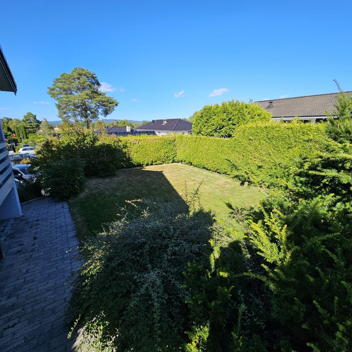 Private bilder Galleribilde