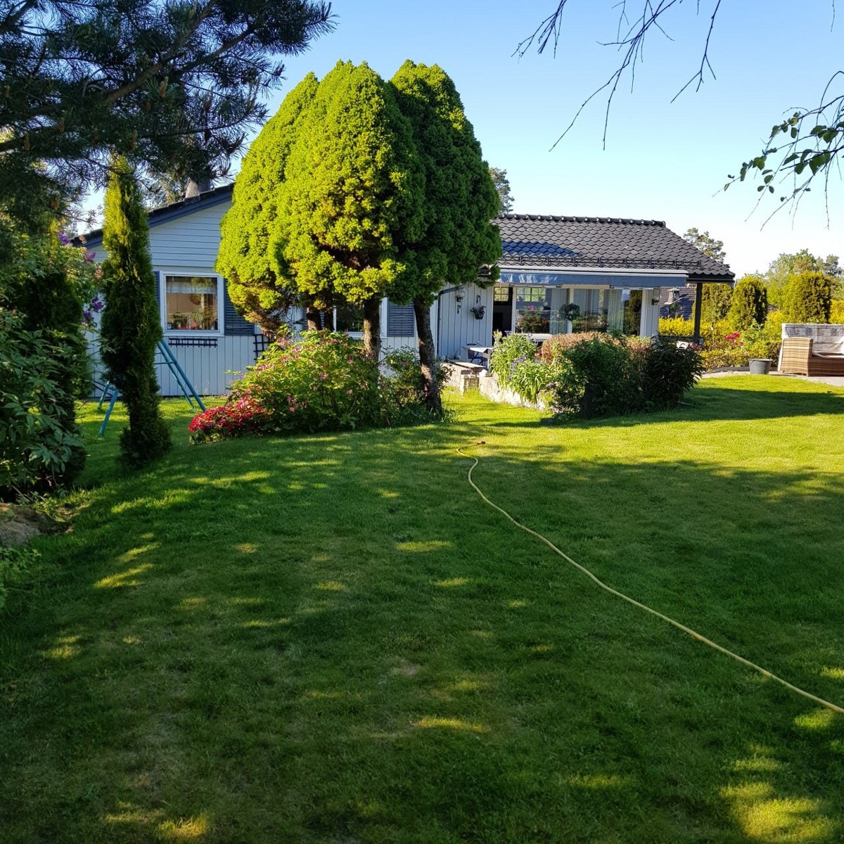 Private bilder Galleribilde