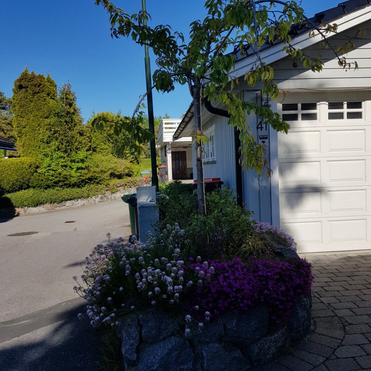 Private bilder Galleribilde