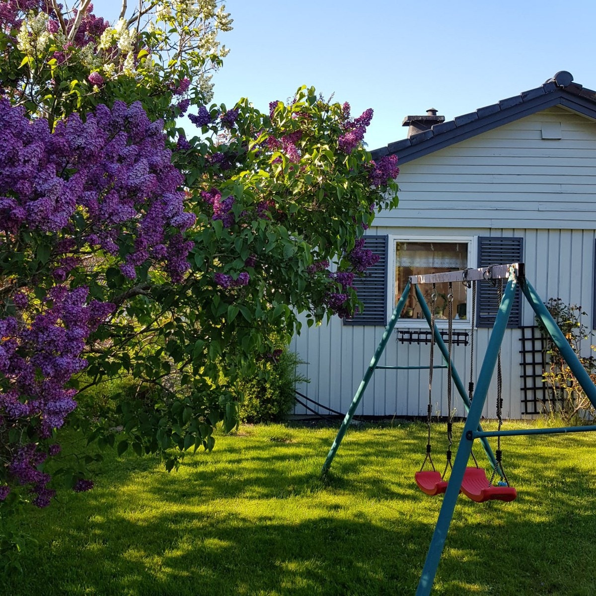 Private bilder Galleribilde