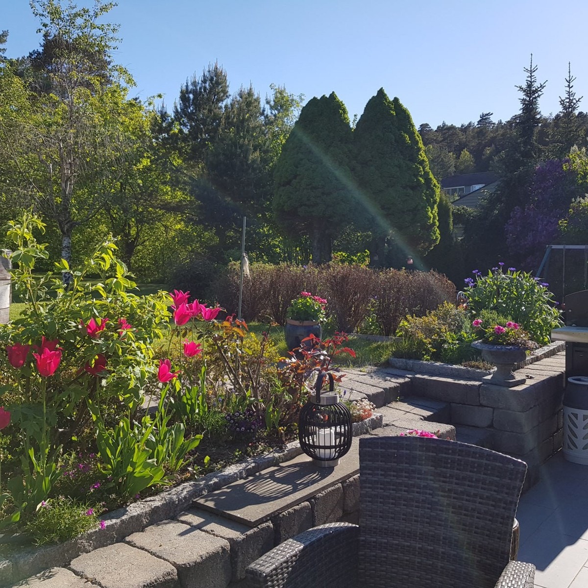 Private bilder Galleribilde