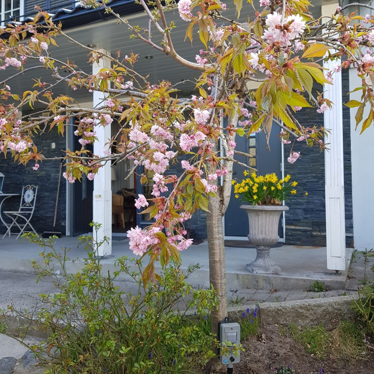 Private bilder Galleribilde