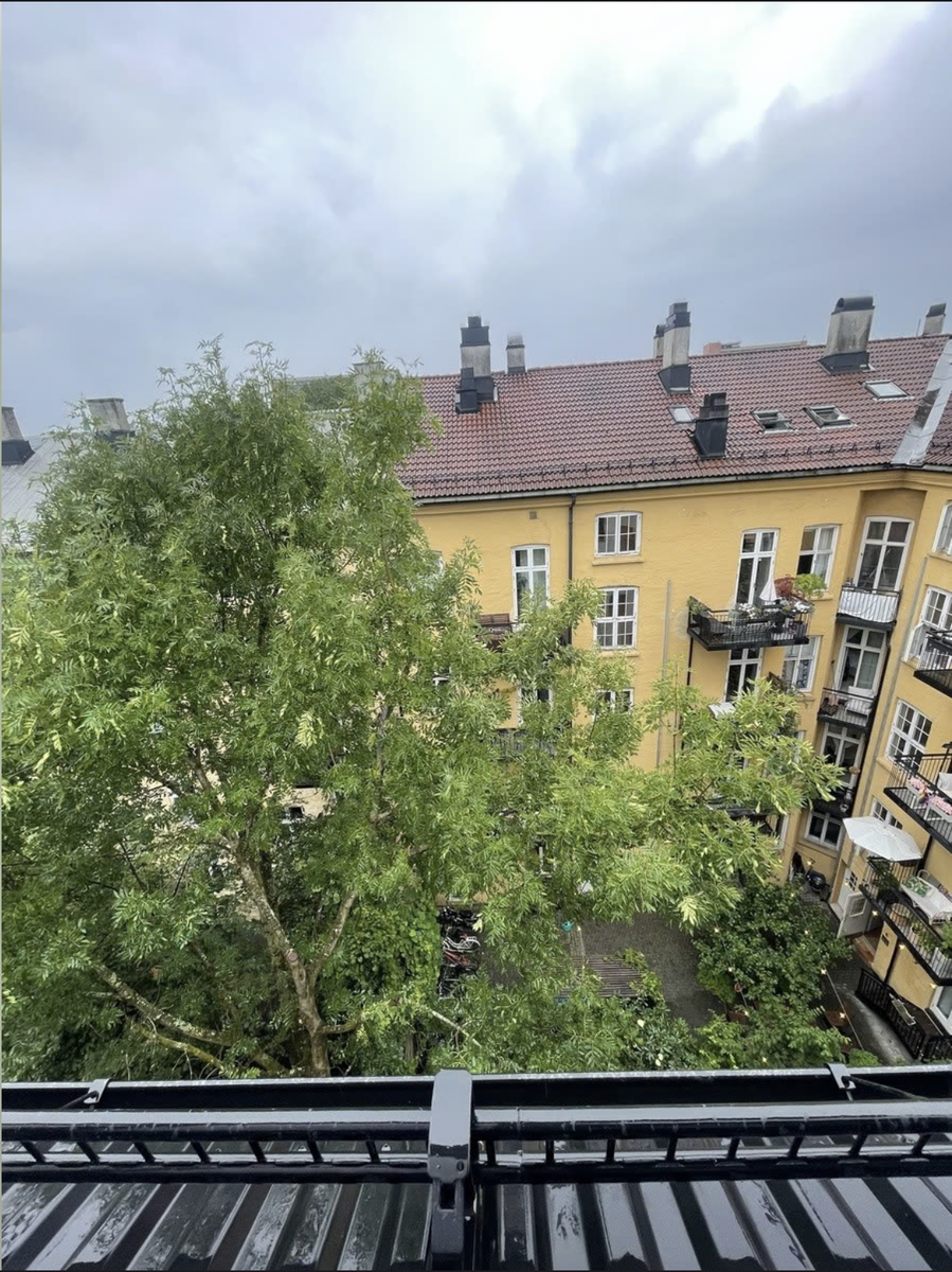 Bakgård Galleribilde