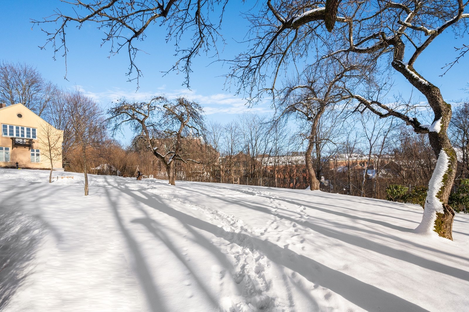 Felles gårdsrom. Galleribilde