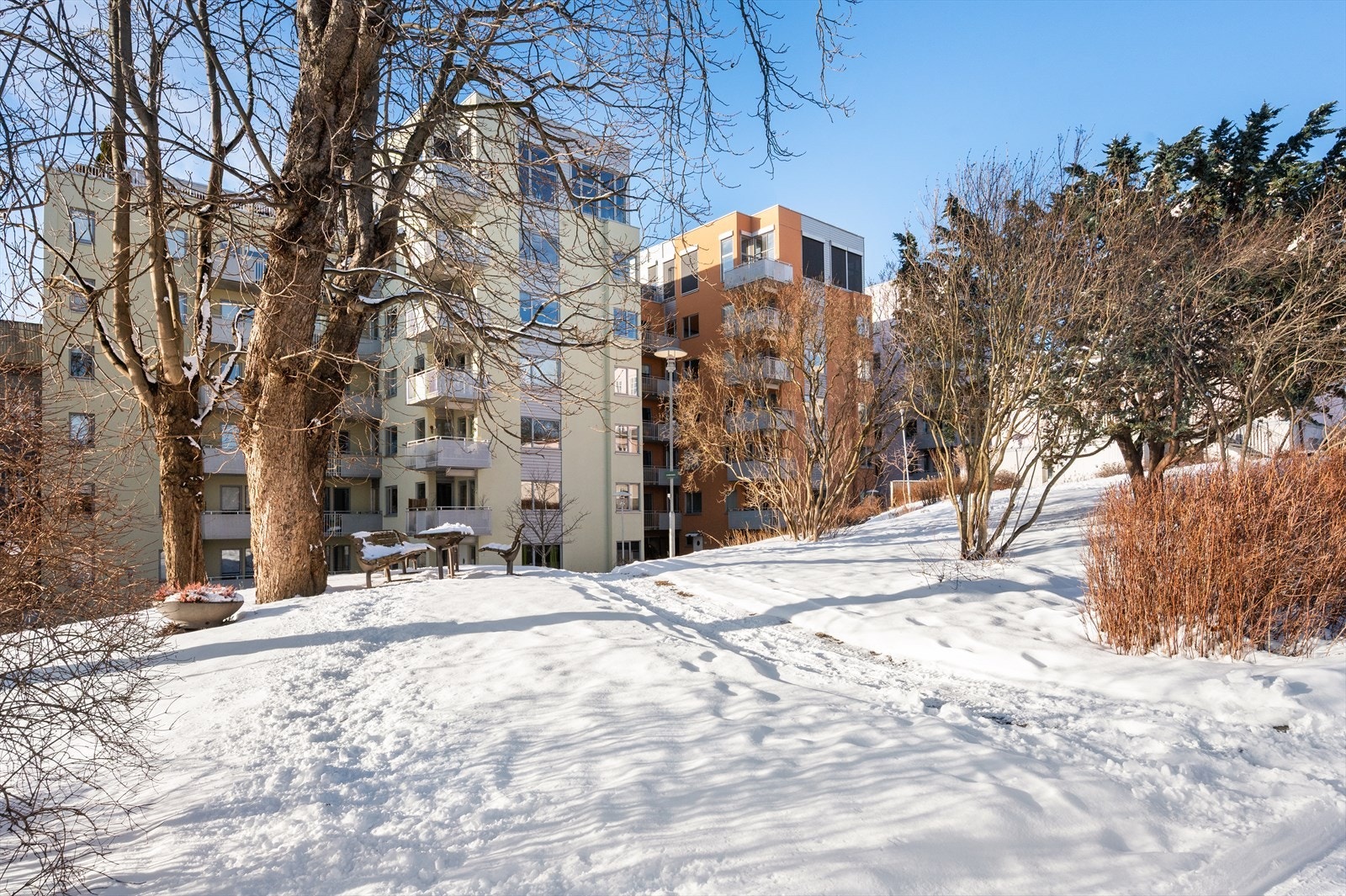 Felles gårdsrom er som en skjermet oase midt i byen. Galleribilde