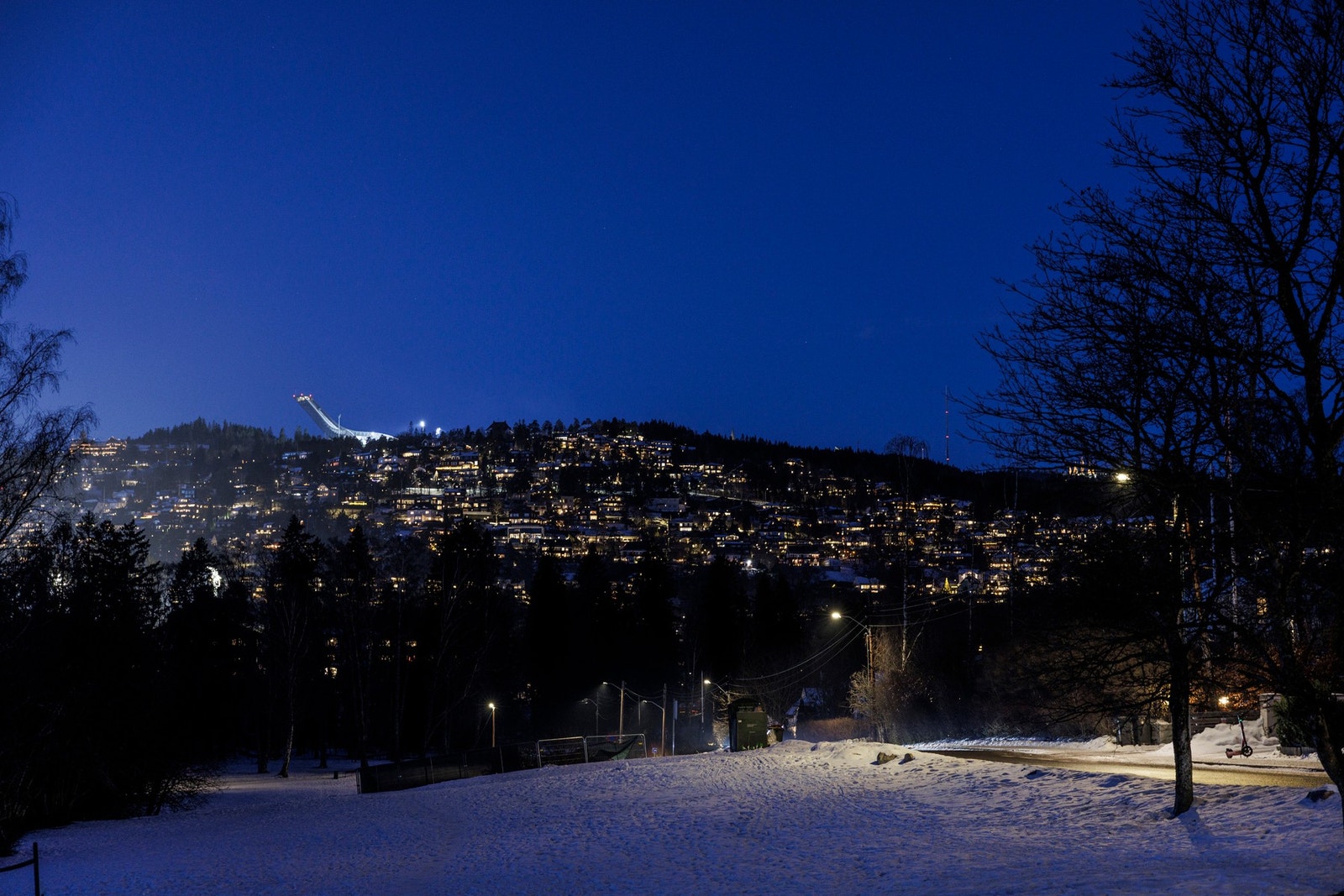 Fra Holmendammen. Galleribilde