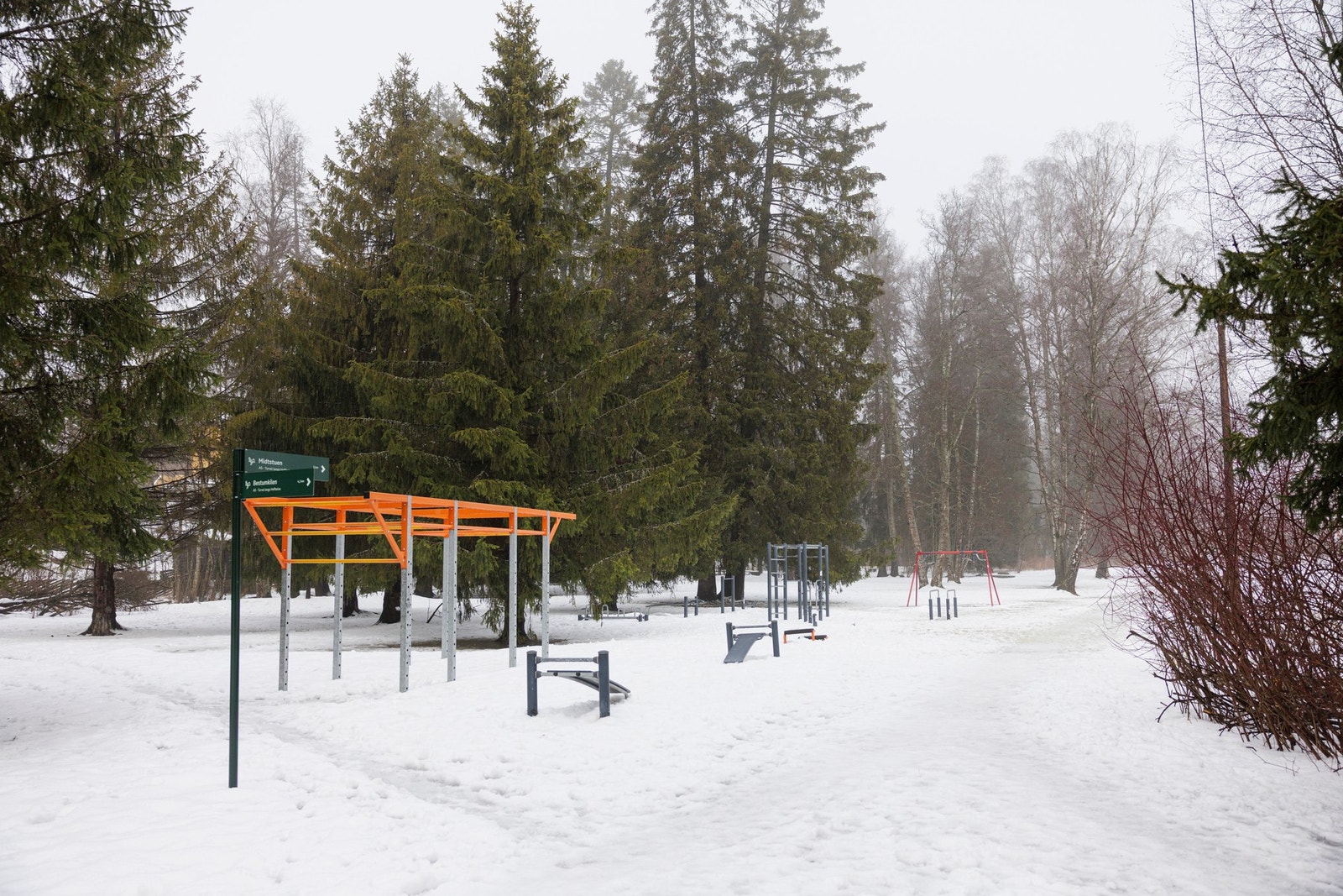 Fra Holmendammen. Galleribilde