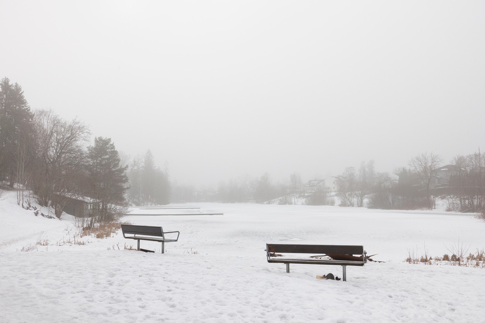 Fra Holmendammen. Galleribilde