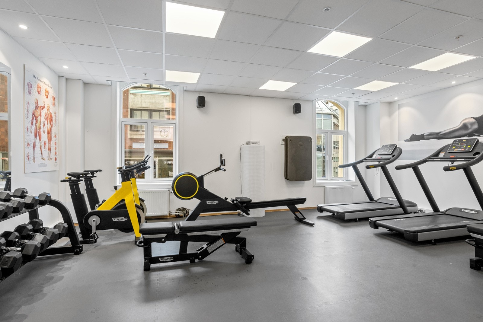 Trimrommet er flittig brukt Galleribilde