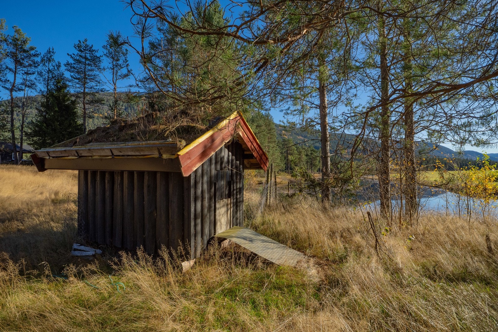 Andehus Galleribilde