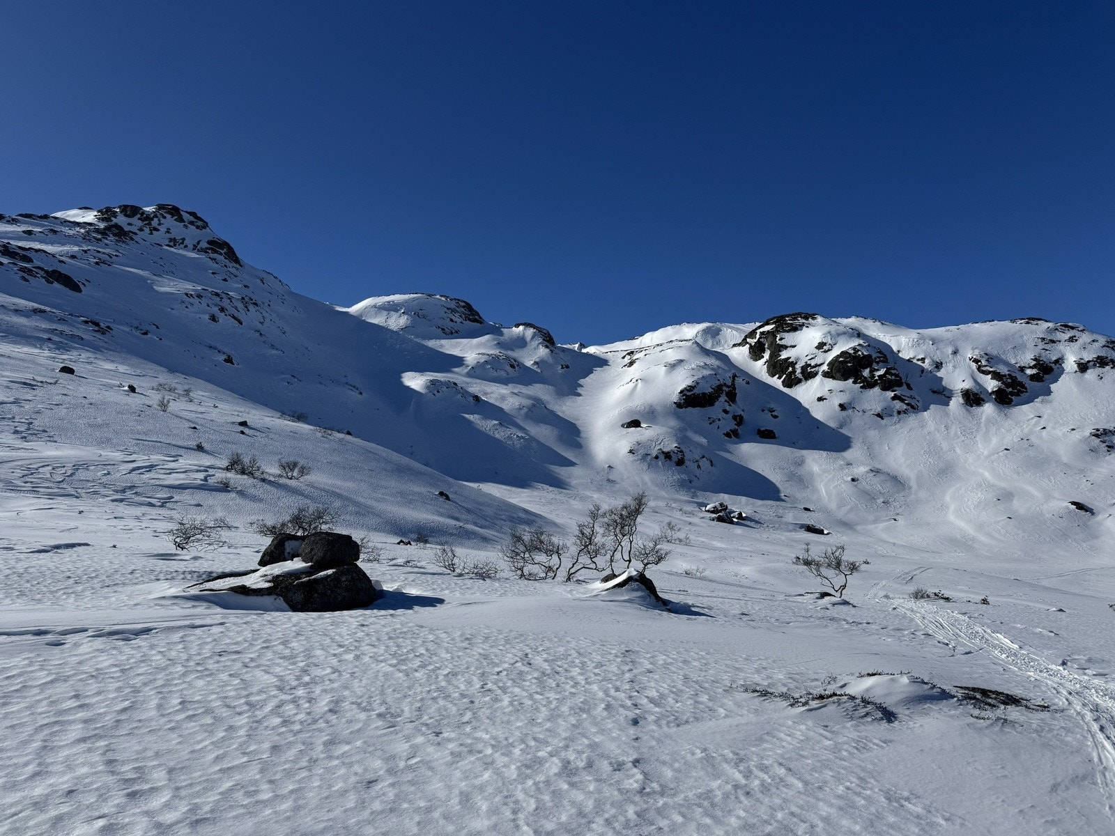 Nyestøyl Galleribilde