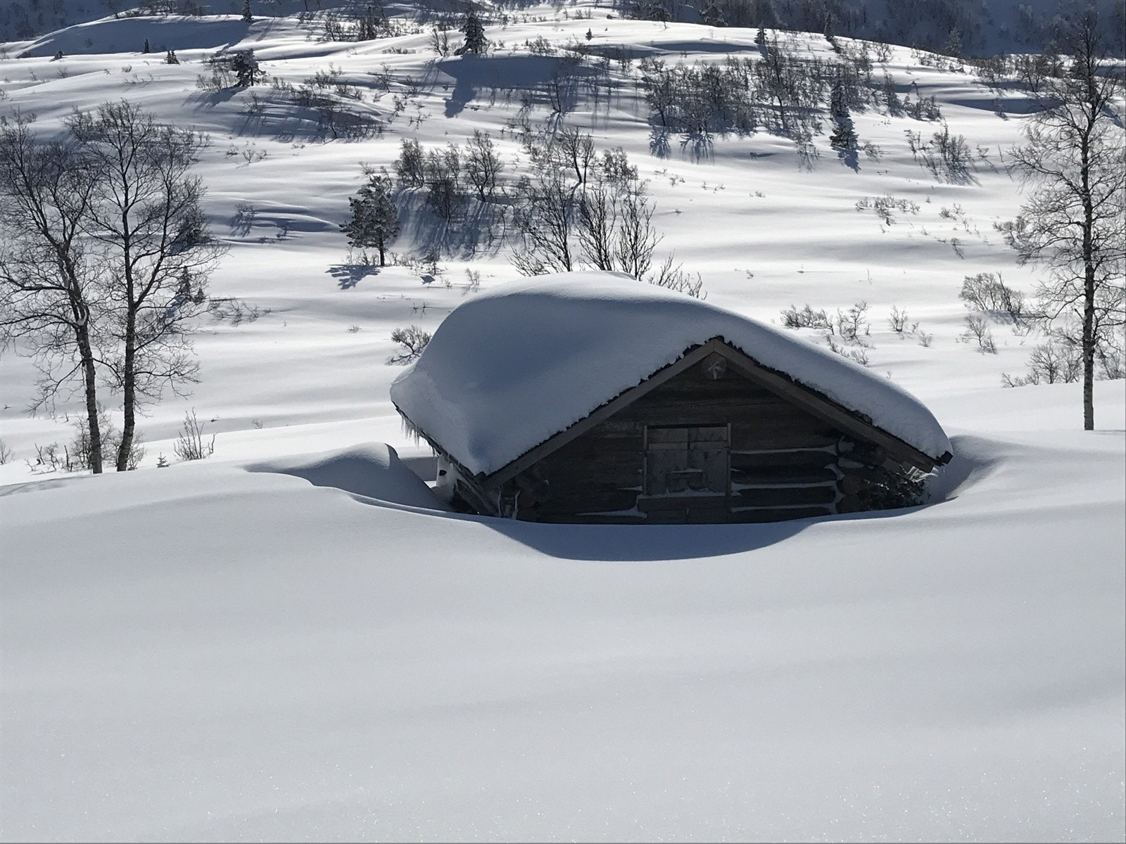 Nyestøyl Galleribilde