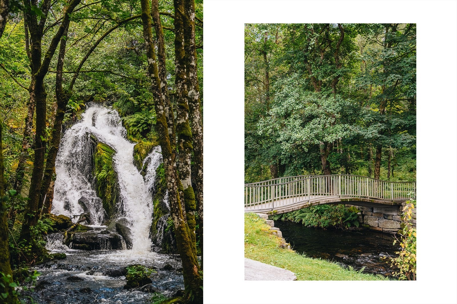 Nærområde - Fana Kulturpark - en idyllisk park for hele familien. Galleribilde