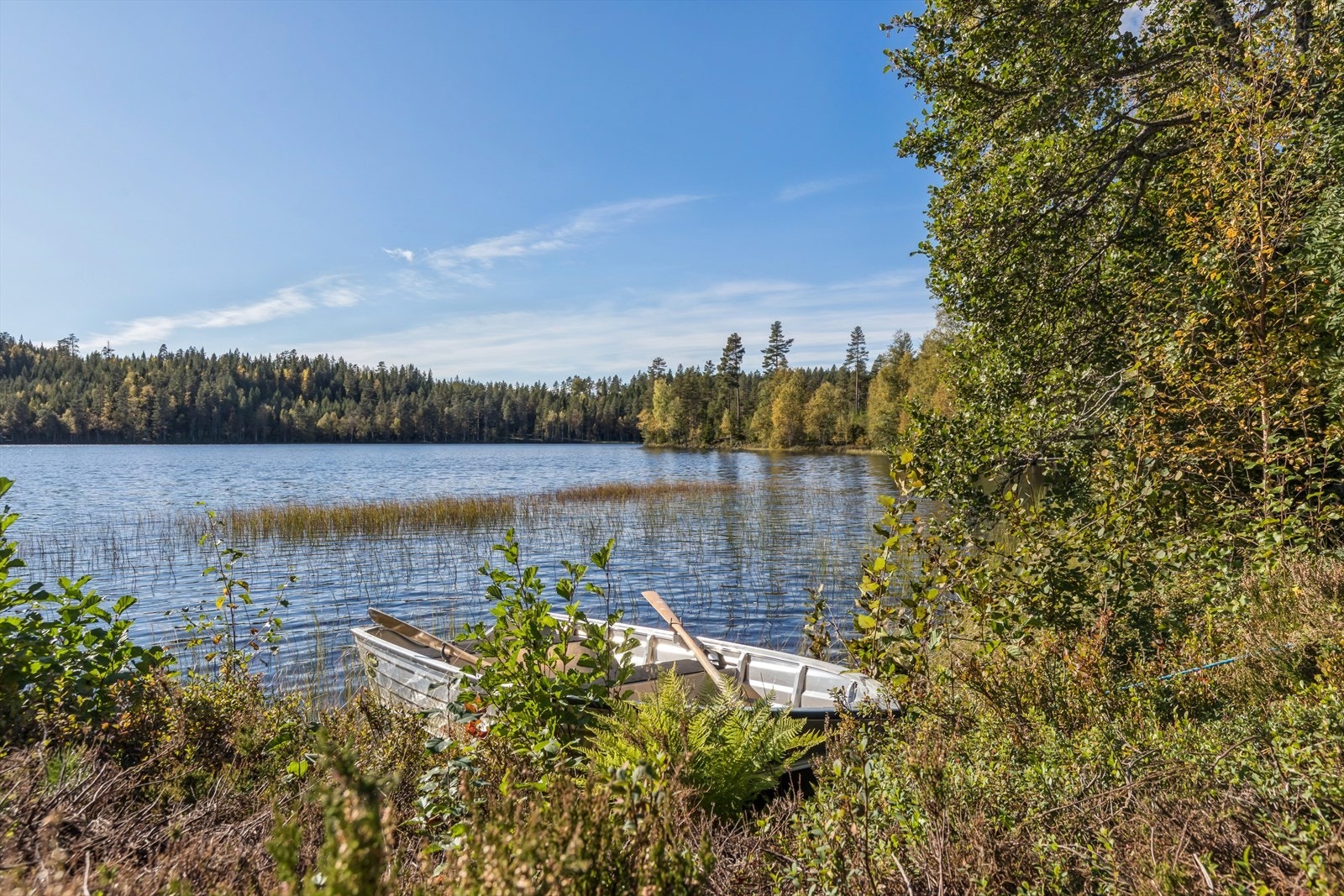 Sommeridyll! Galleribilde