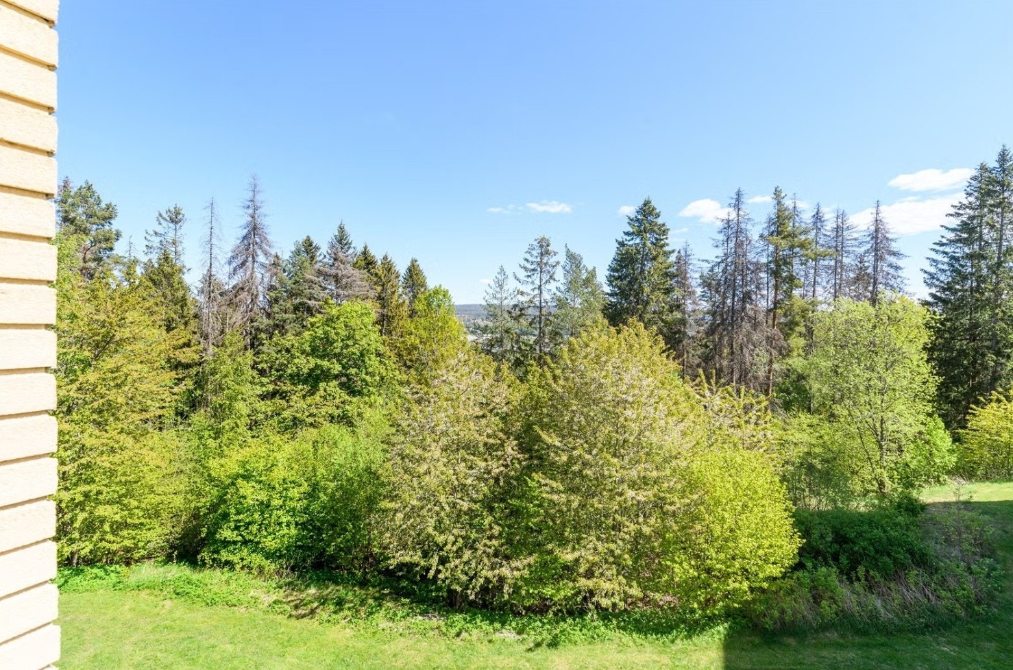 Utsikt fra stuevindu om sommeren. Galleribilde