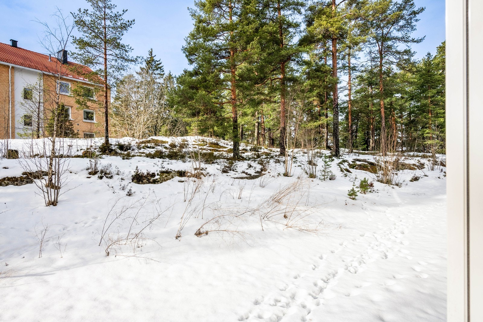 Flotte grøntarealer rundt borettslaget Galleribilde