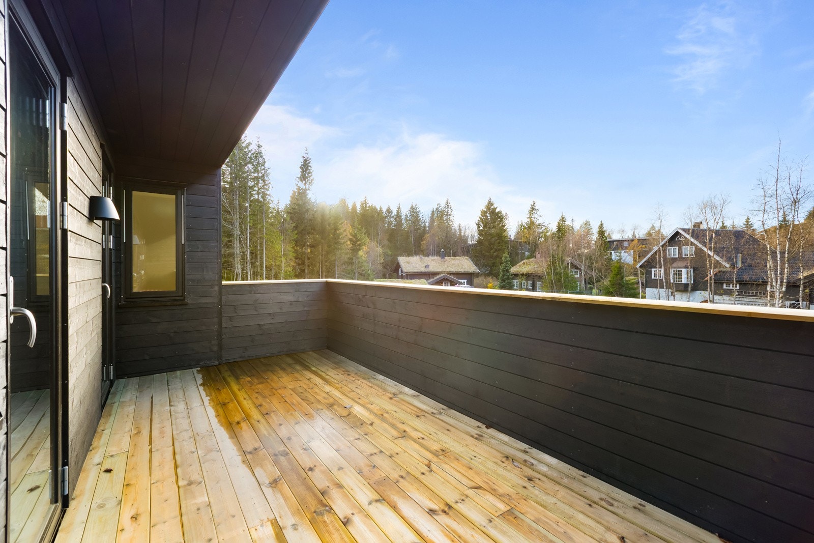 AP1_1266 Galleribilde