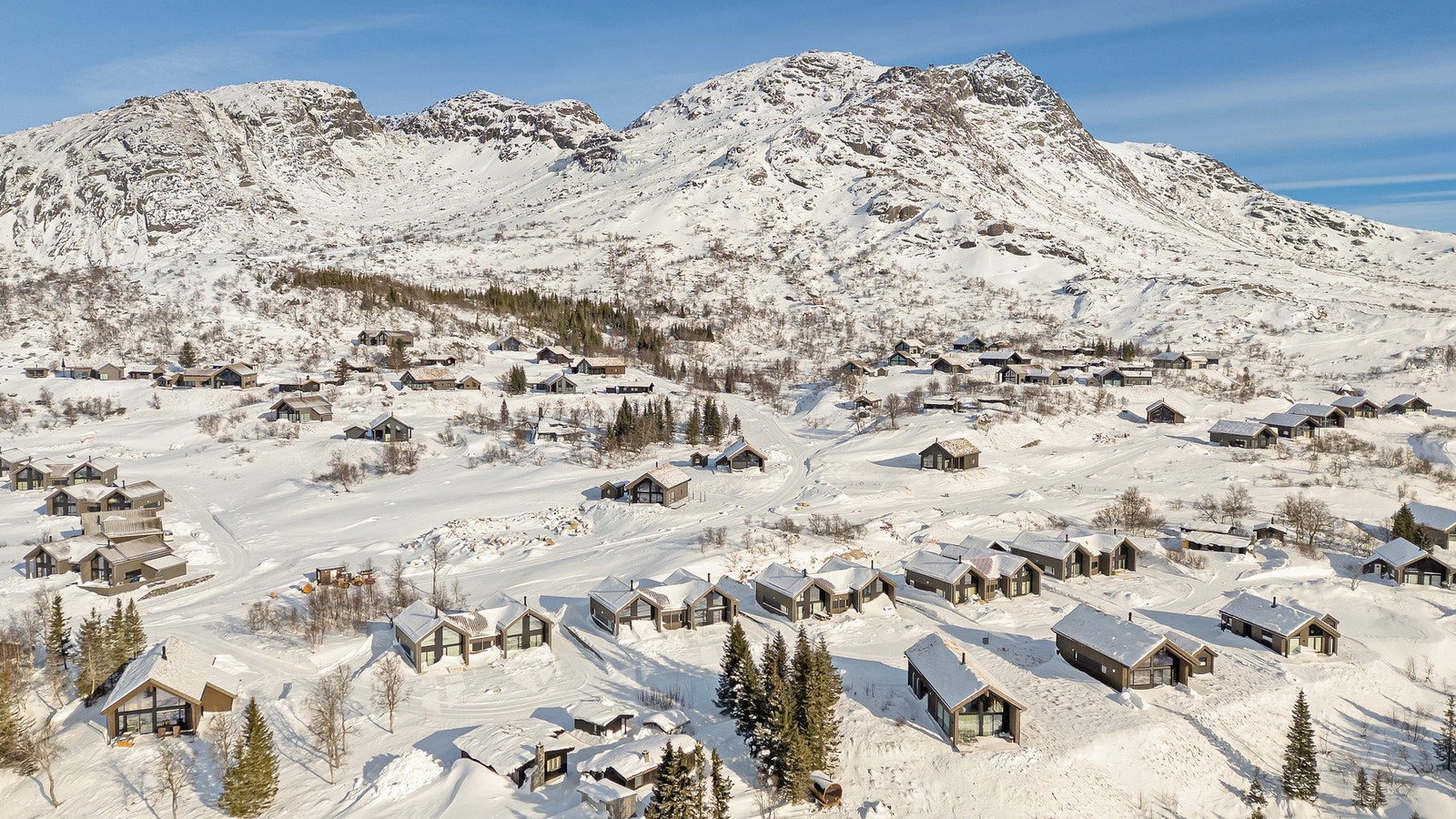 Velkommen til visning! Galleribilde