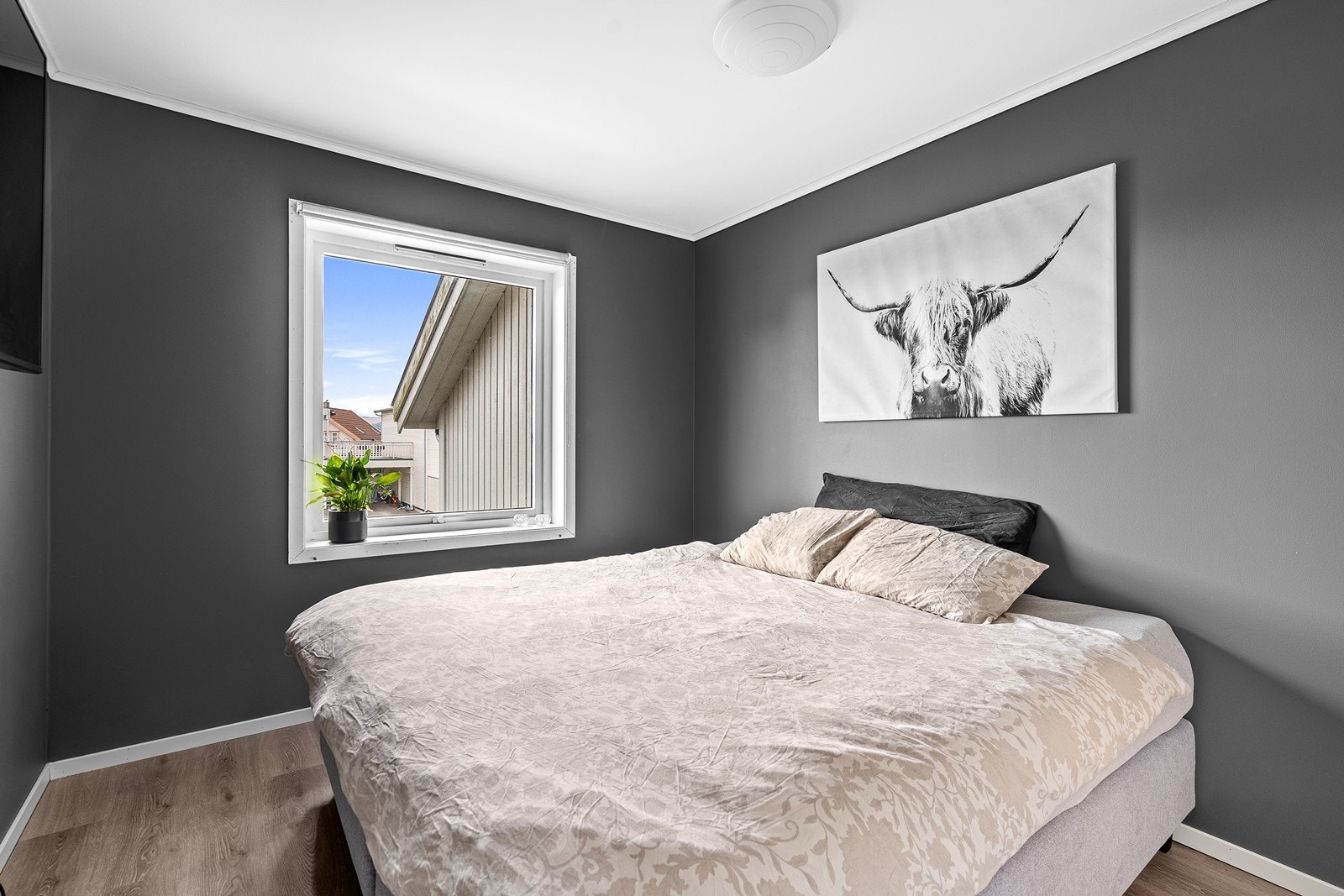 1 stavs laminat på gulv og malte flater på vegger. Galleribilde