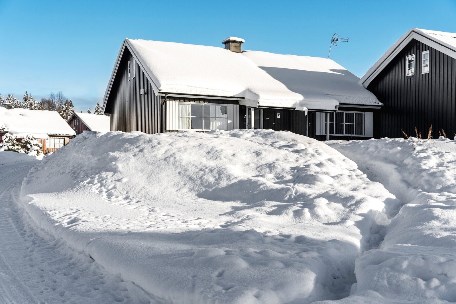 Velkommen på visning! Galleribilde