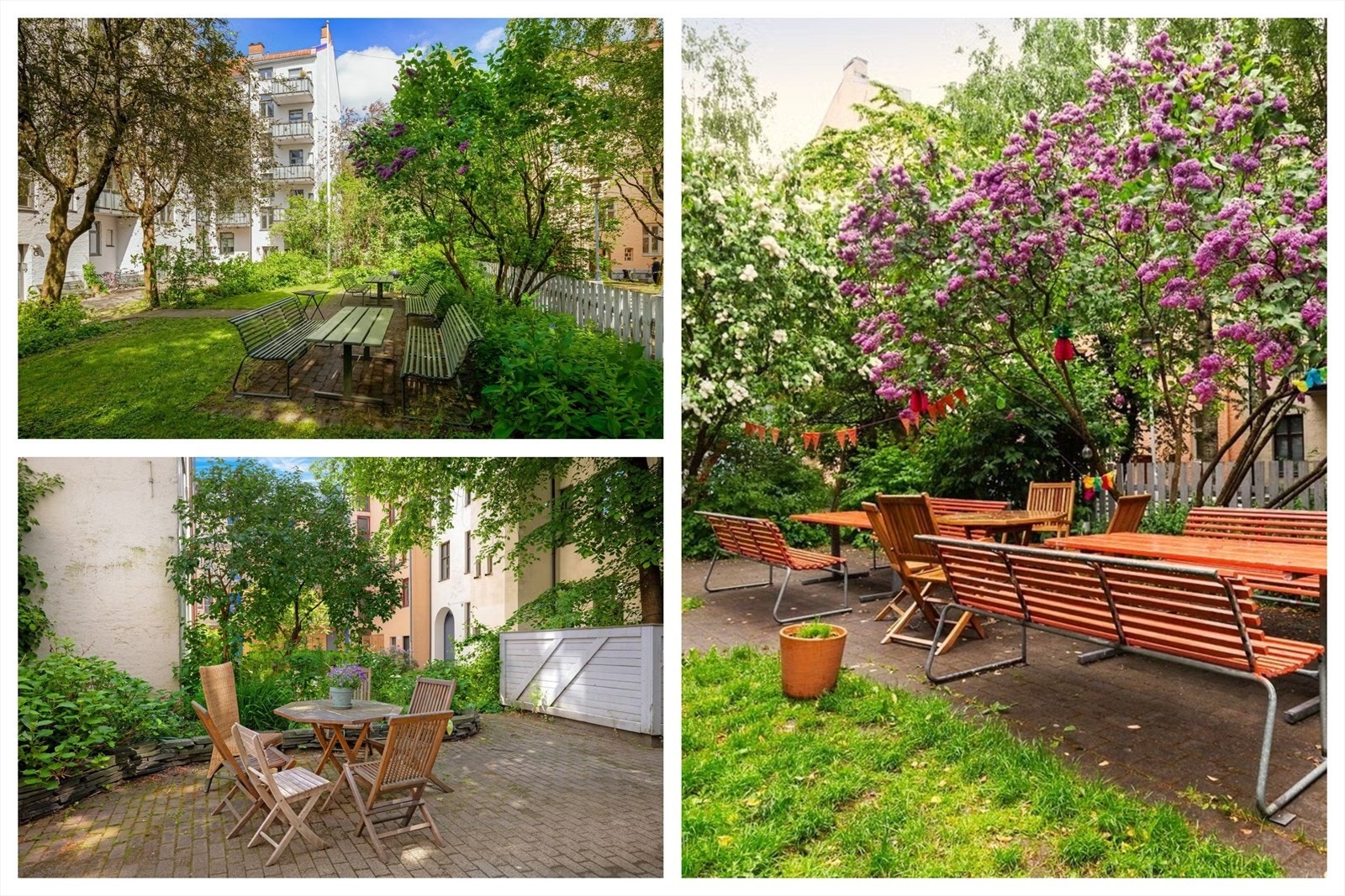 På sommerstid forvandles bakgården til en grønn oase Galleribilde