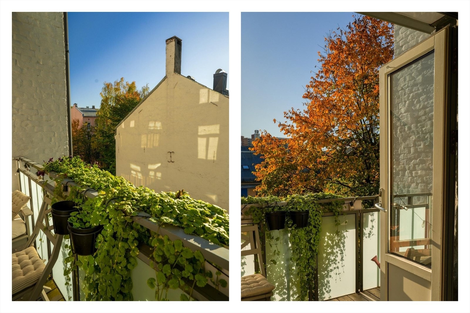 Nydelig på sommerstid - Stille, grønt og skjermet Galleribilde