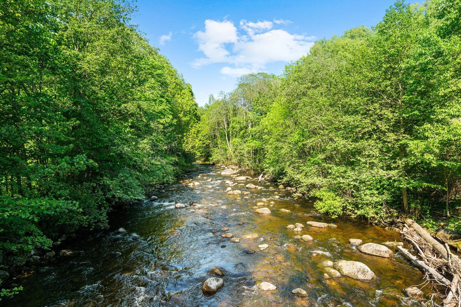Området er et ideelt utgangspunkt for et aktivt liv i naturskjønne omgivelser. Galleribilde