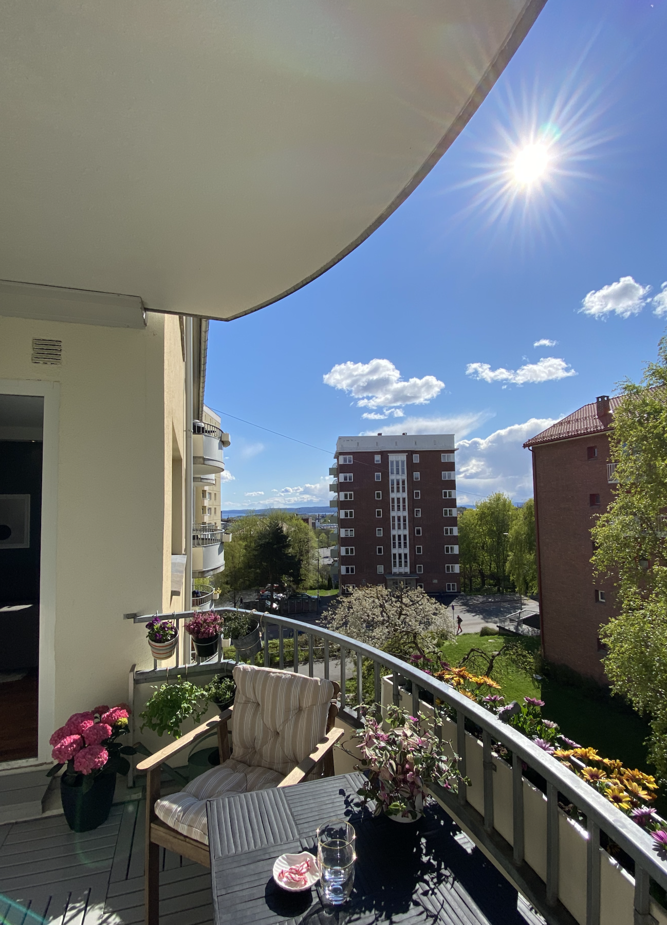 Det er nemlig ikke bare fjordgløtt, men fin utsikt mot fjorden. Galleribilde