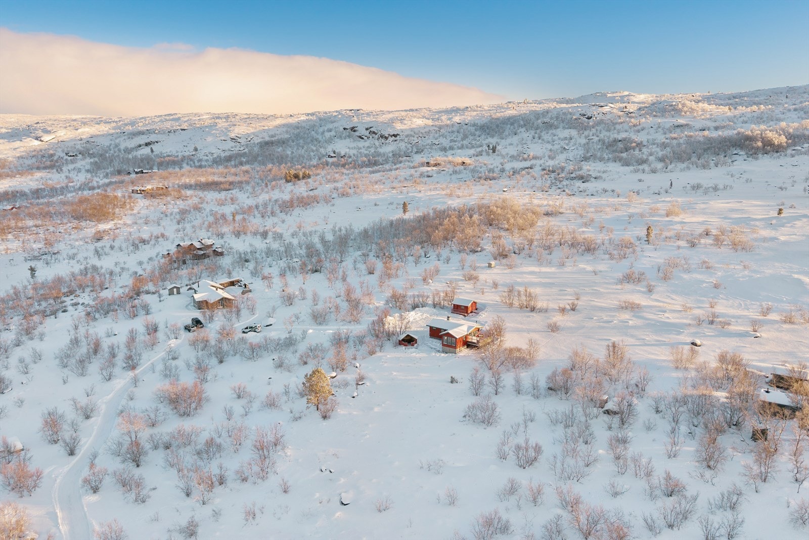 Velkommen til en hyggelig visning! Galleribilde