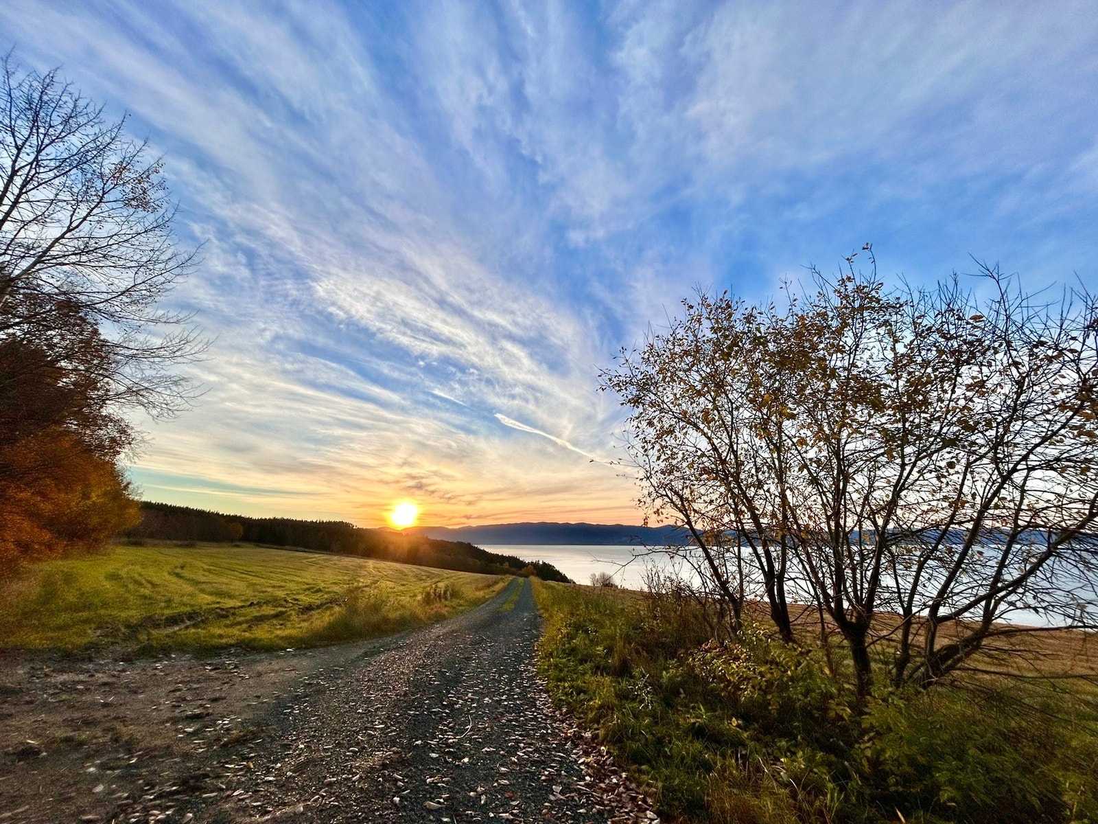 Fra Bosberg er det kort vei til populære utfartsområdet som Ringvollmarka og Bymarka som er kjent for Trondheims mest populære turområde både sommer og vinter. Galleribilde
