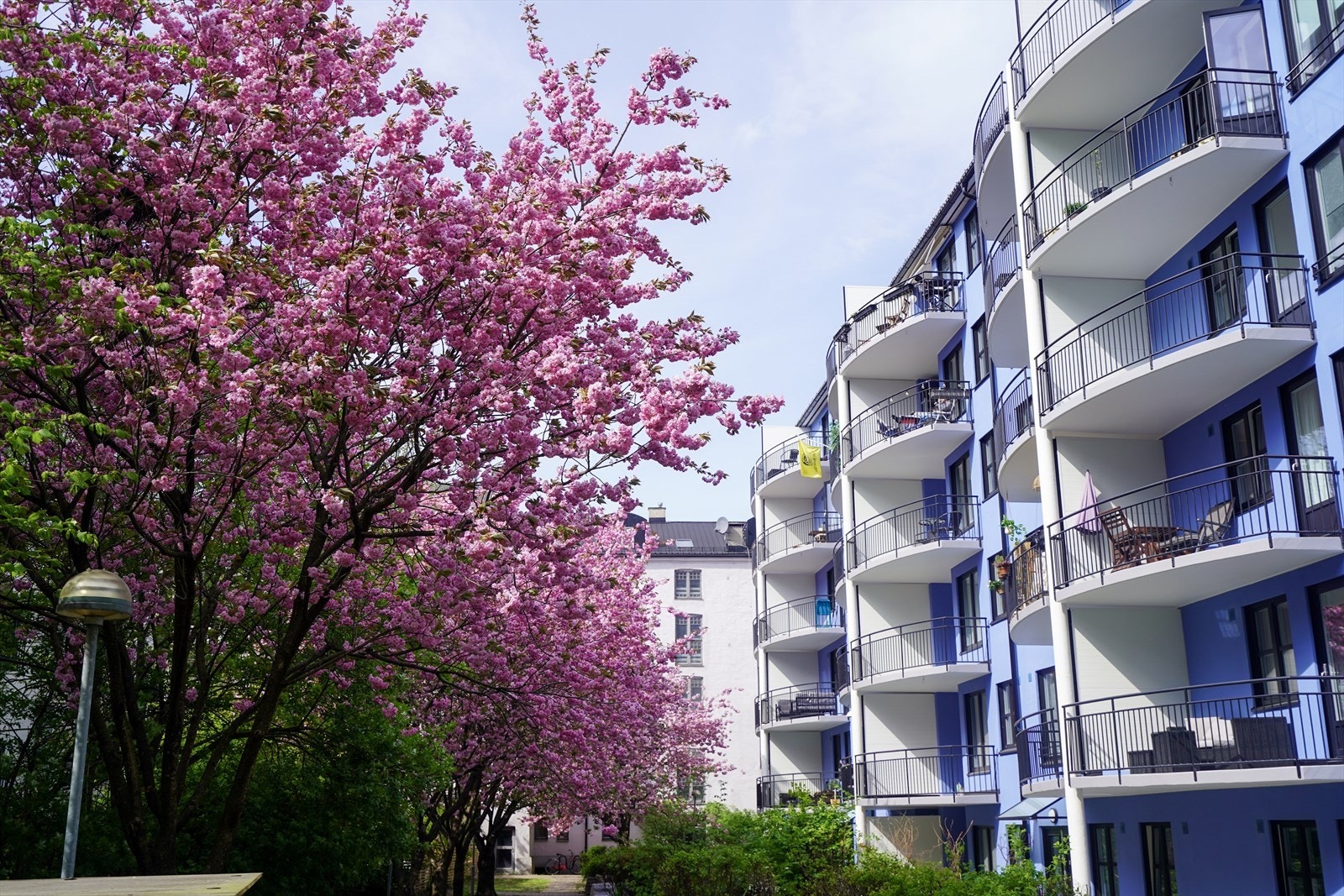 Bakgård på sommerstid Galleribilde