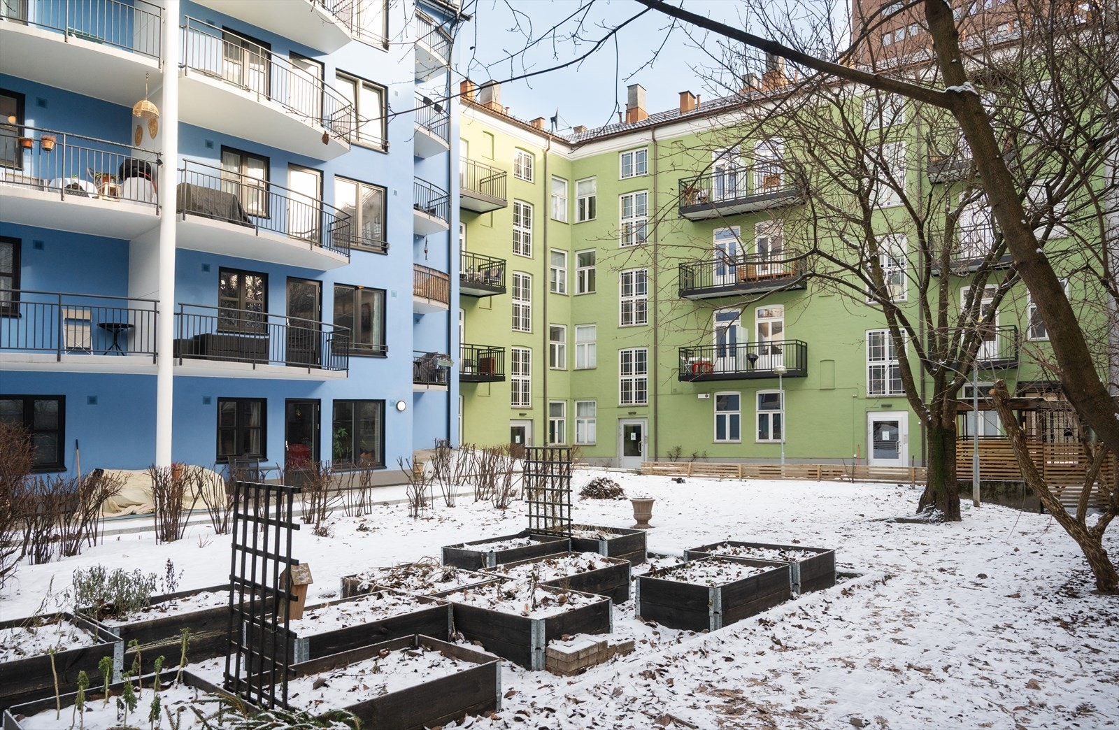 Sameiet har en pent opparbeidet felles bakgård. Galleribilde