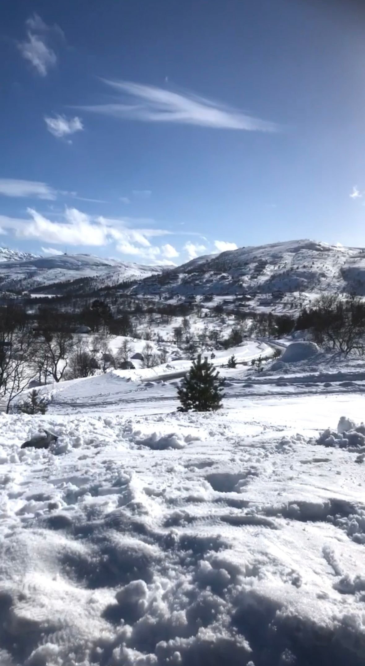 Utsikt fra veranda Galleribilde