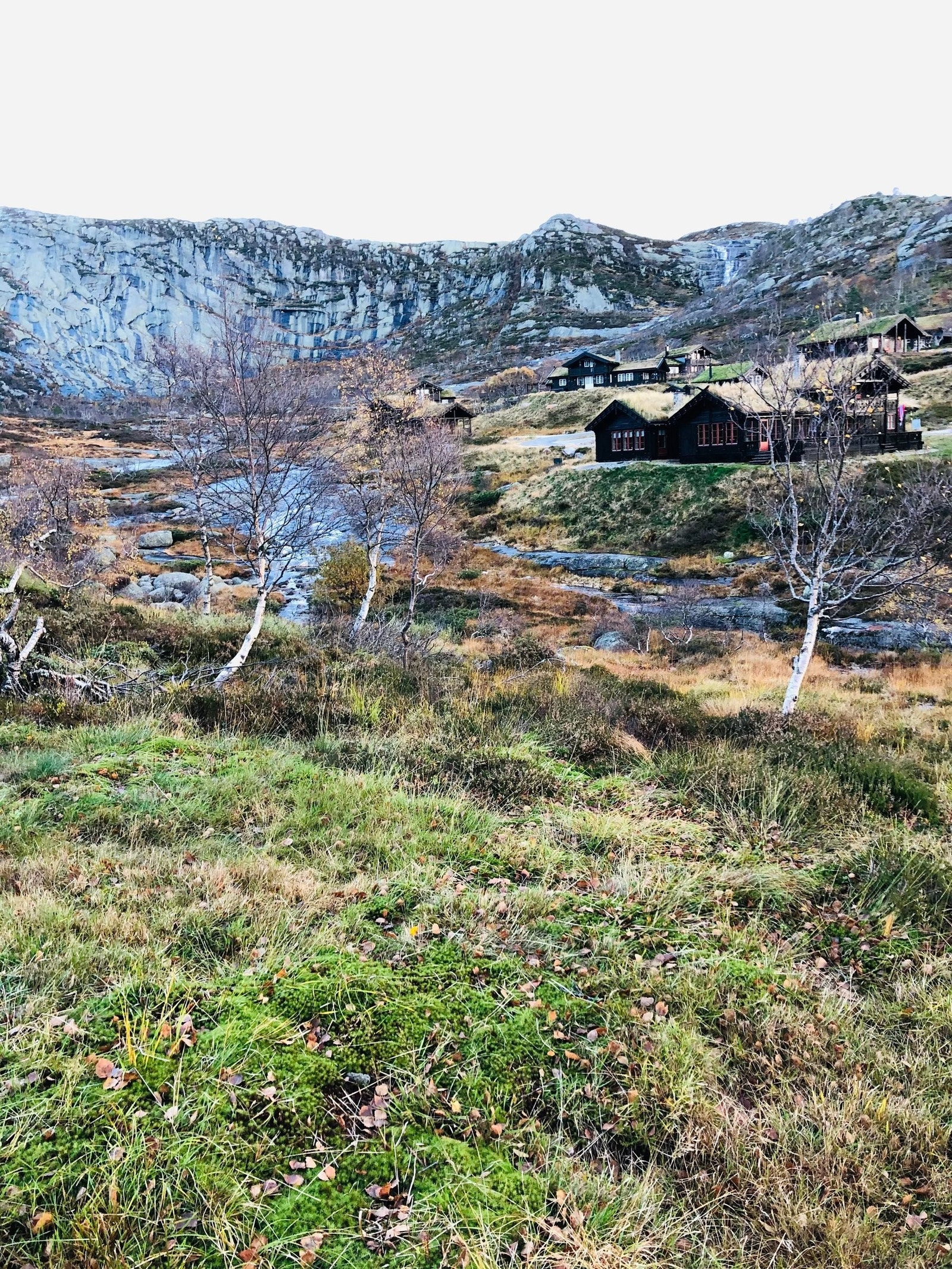 Nydelige omgivelser Galleribilde
