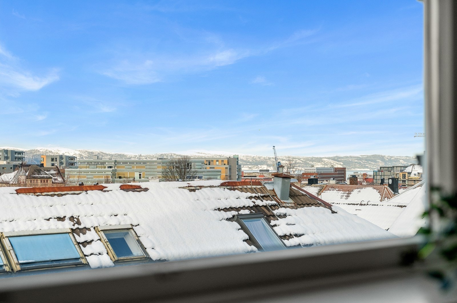 Utsikt med fjordglimt Galleribilde