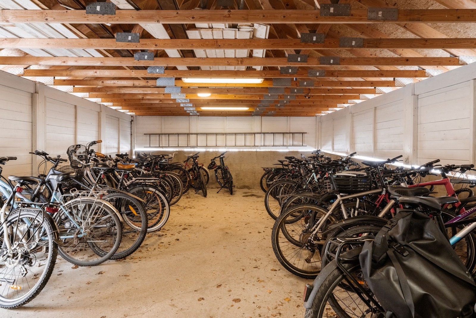 Felles sykkelbod. Galleribilde