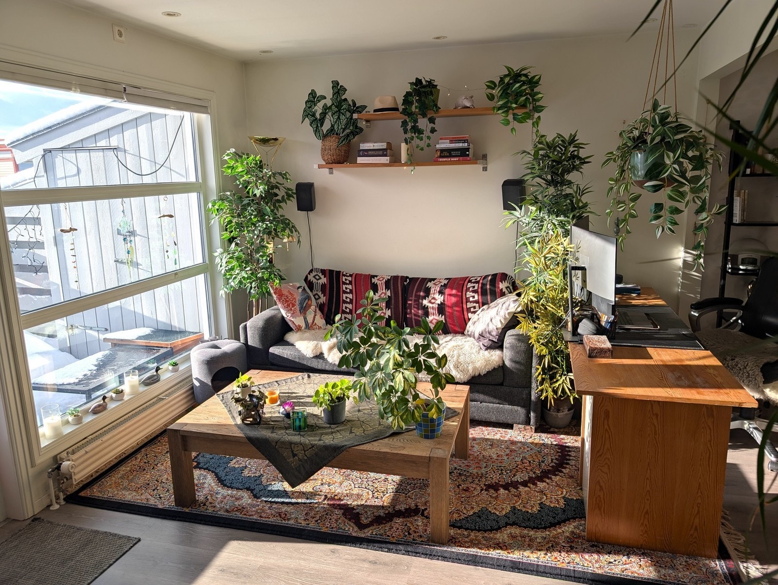 Store vindusflater sørger for mye naturlig lys inn til stuen. Galleribilde