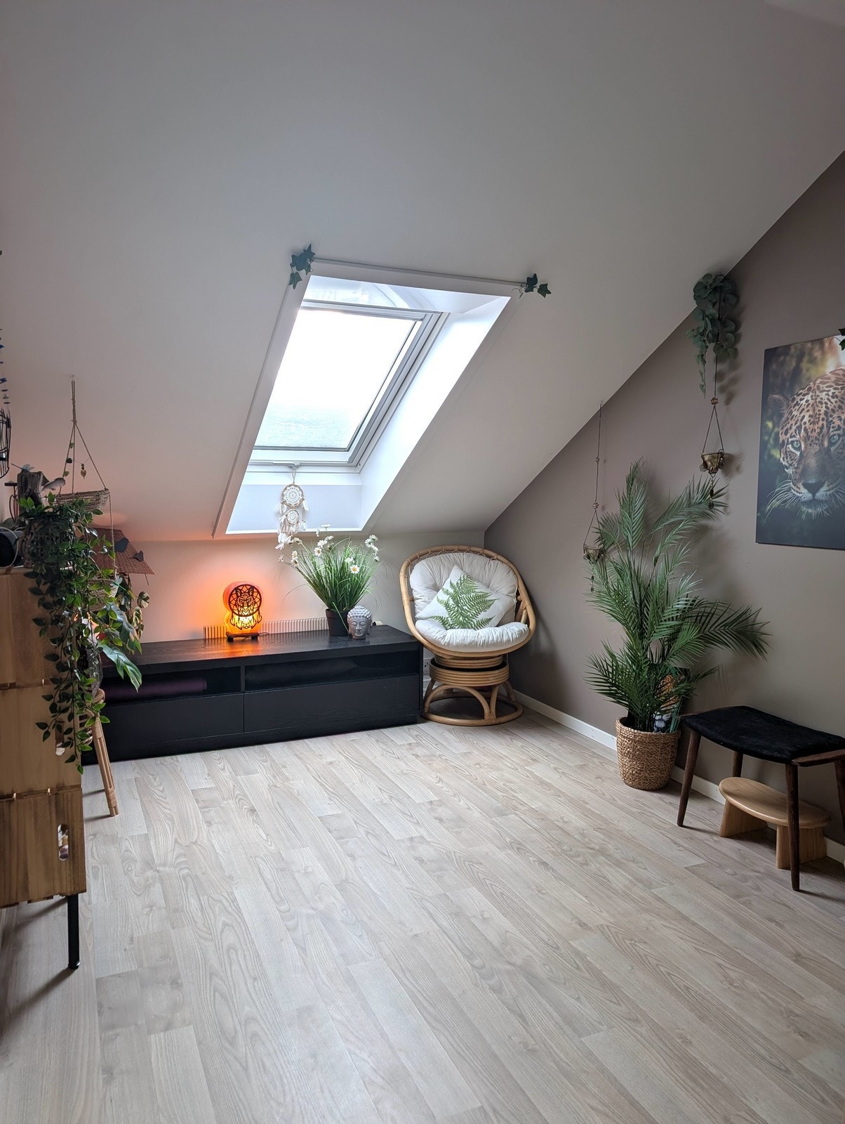 Takvindu sørger for godt med lysinnslipp. Galleribilde