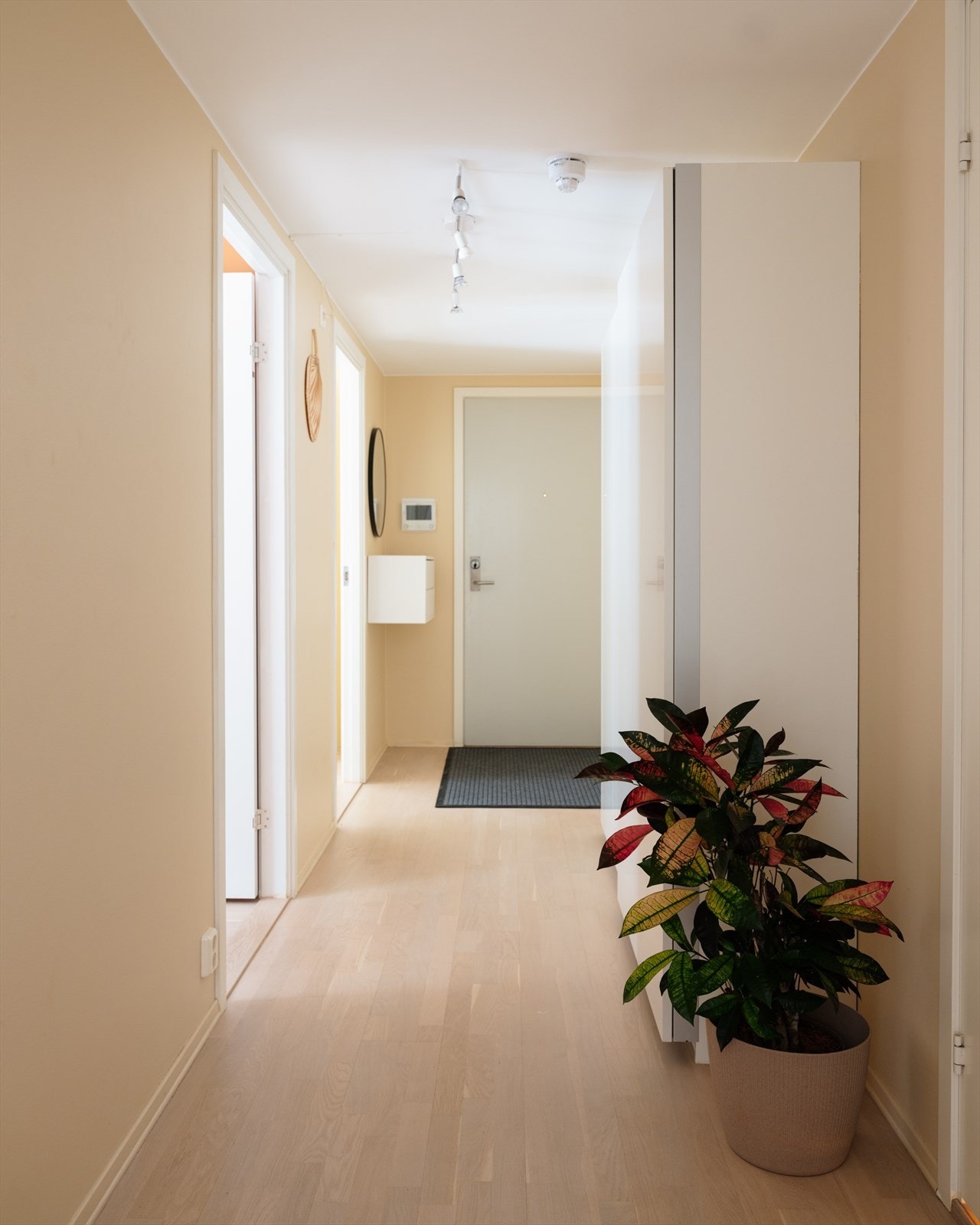 God plass til oppbevaring av sko, yttertøy etc i garderobeskap i entrèen. Galleribilde