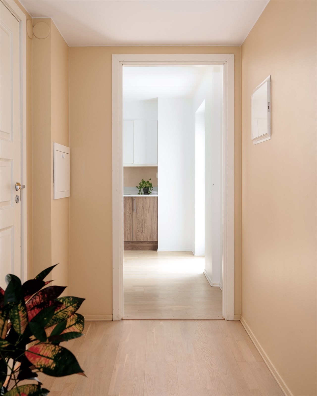 Leiligheten har en meget praktisk planløsning der den sosiale sonen er adskilt fra soverom og bad med mellomgang. Galleribilde