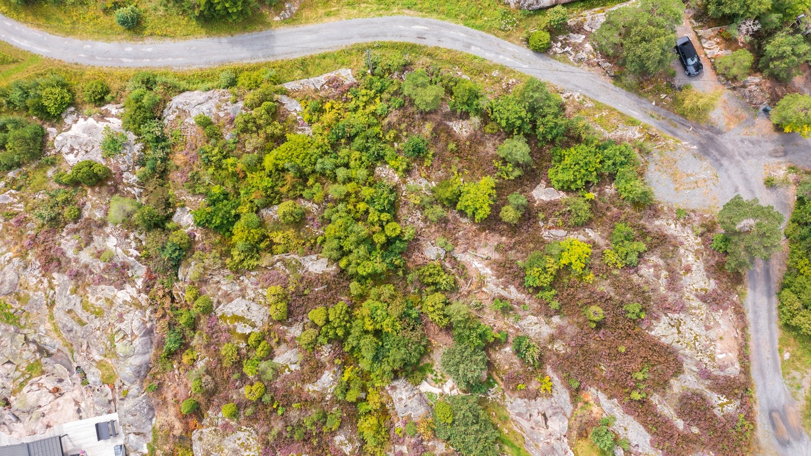 AAST-11 Galleribilde