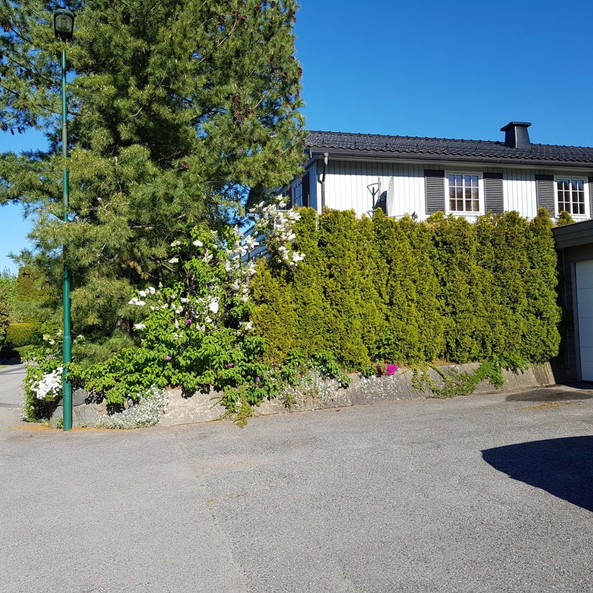 Private bilder Galleribilde