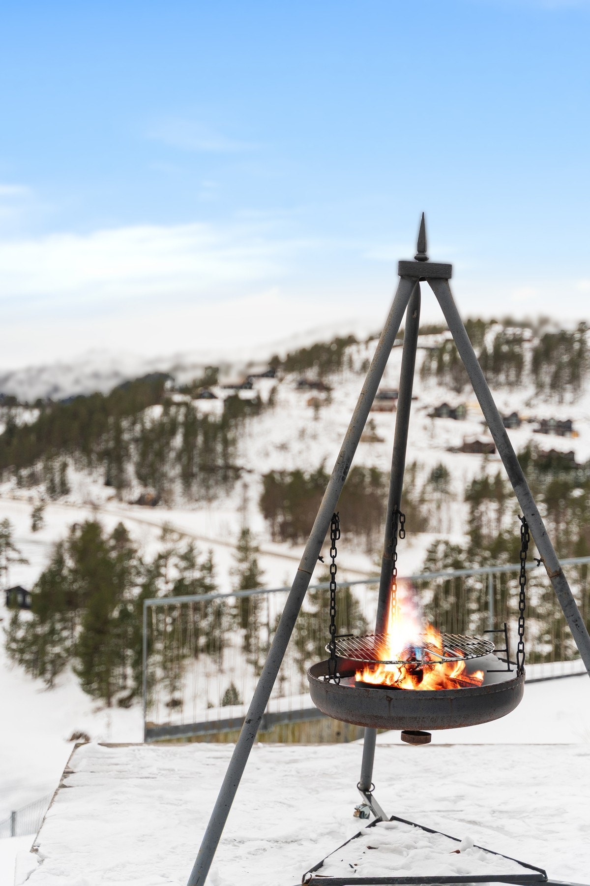 Terrasse - detalj. Galleribilde