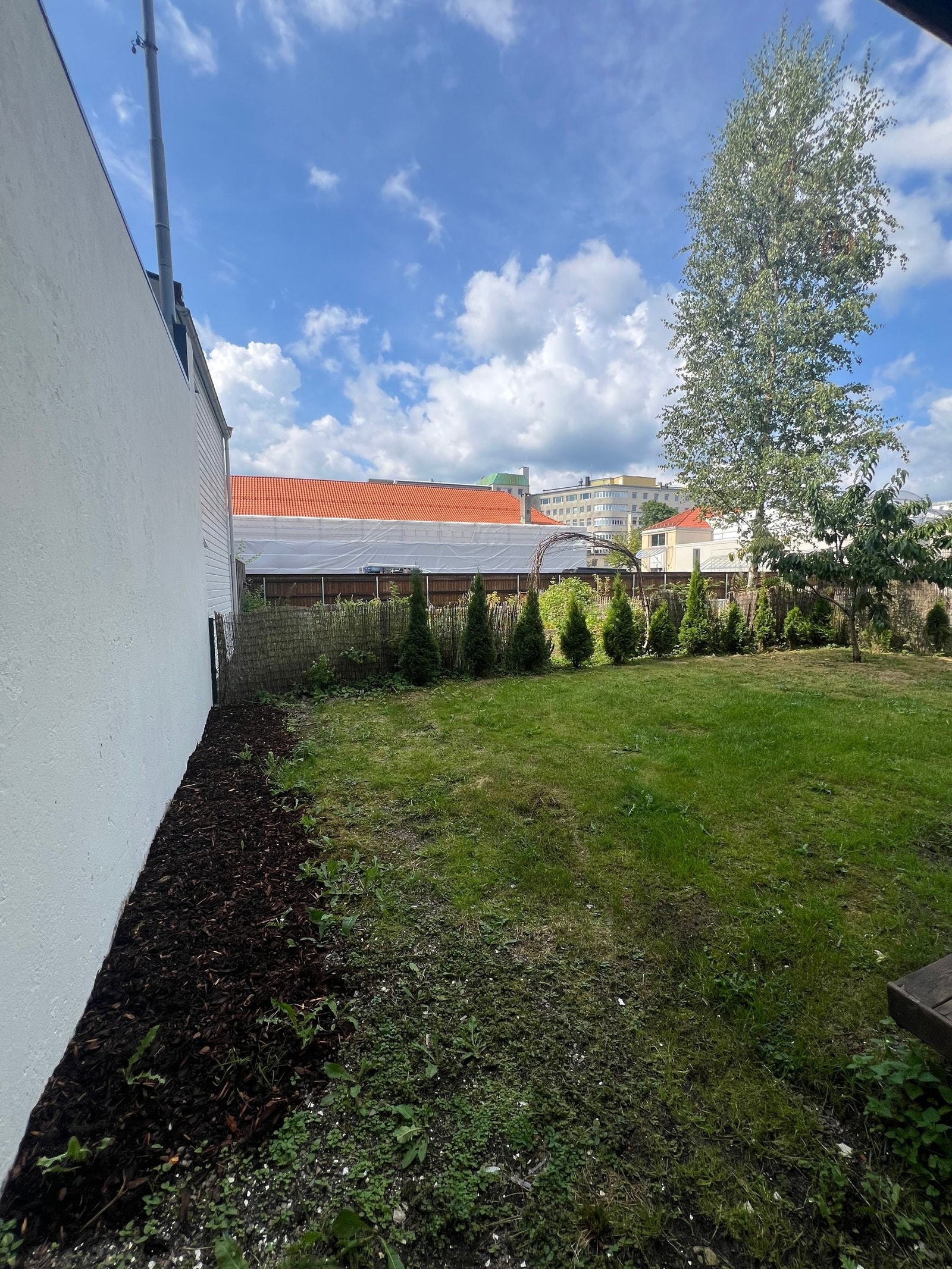 Stor felles hage. Strekker seg forbi tujahekken Galleribilde