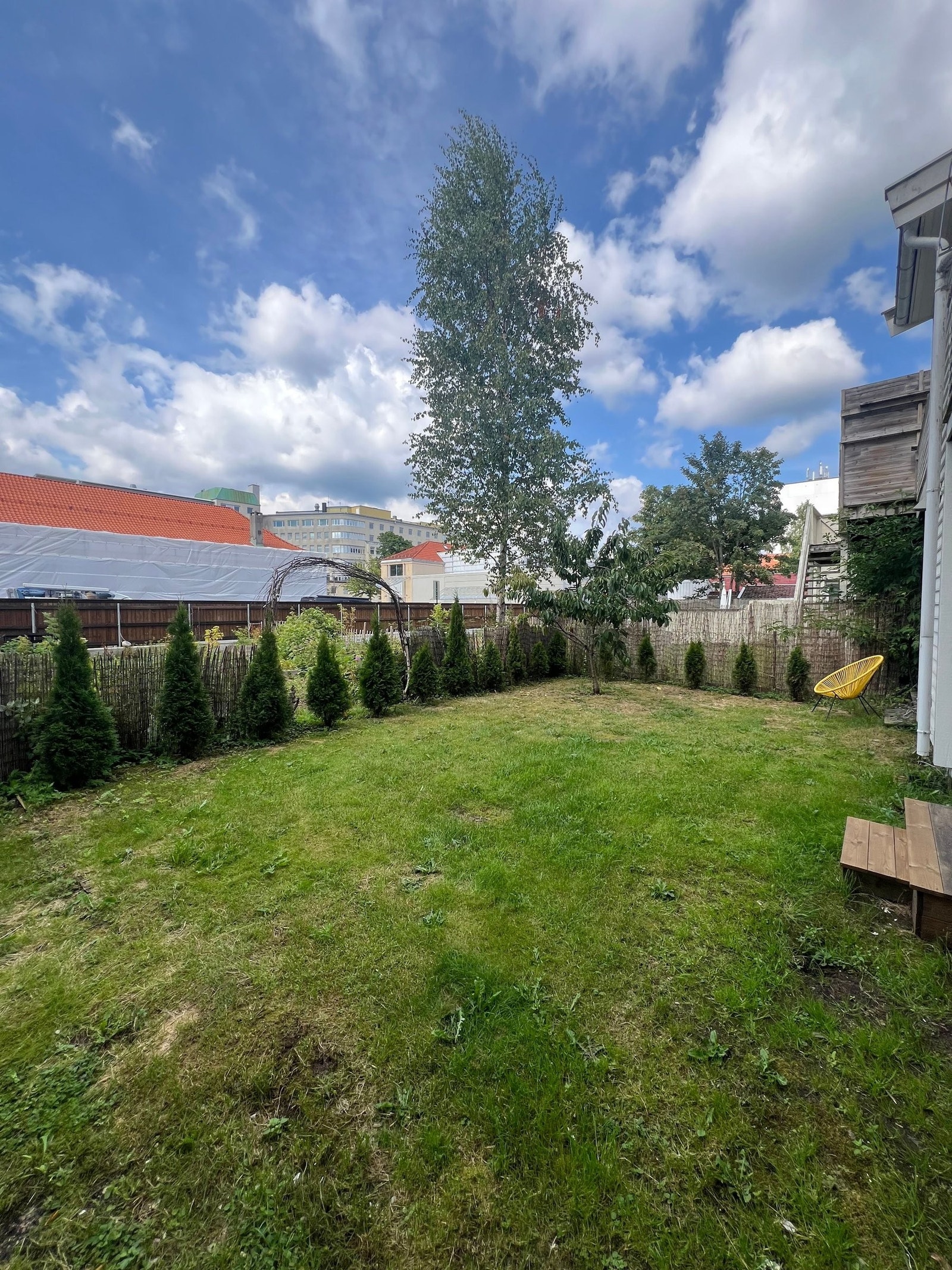 Stor felles hage. Strekker seg forbi tujahekken Galleribilde