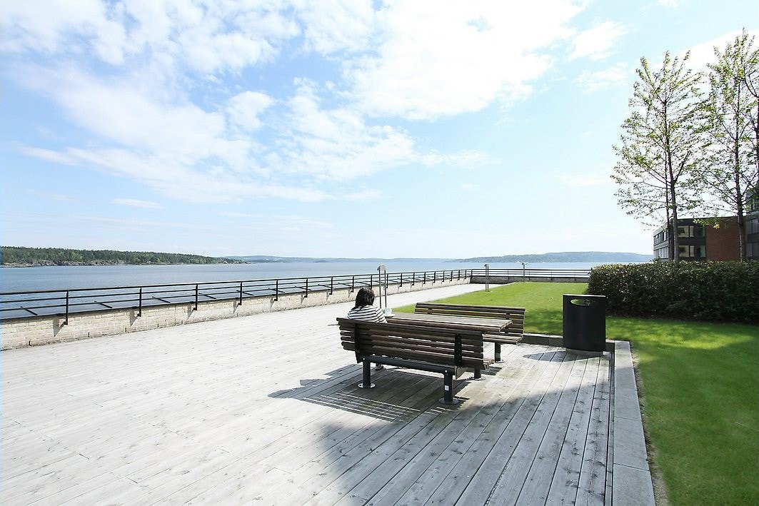 Område Galleribilde