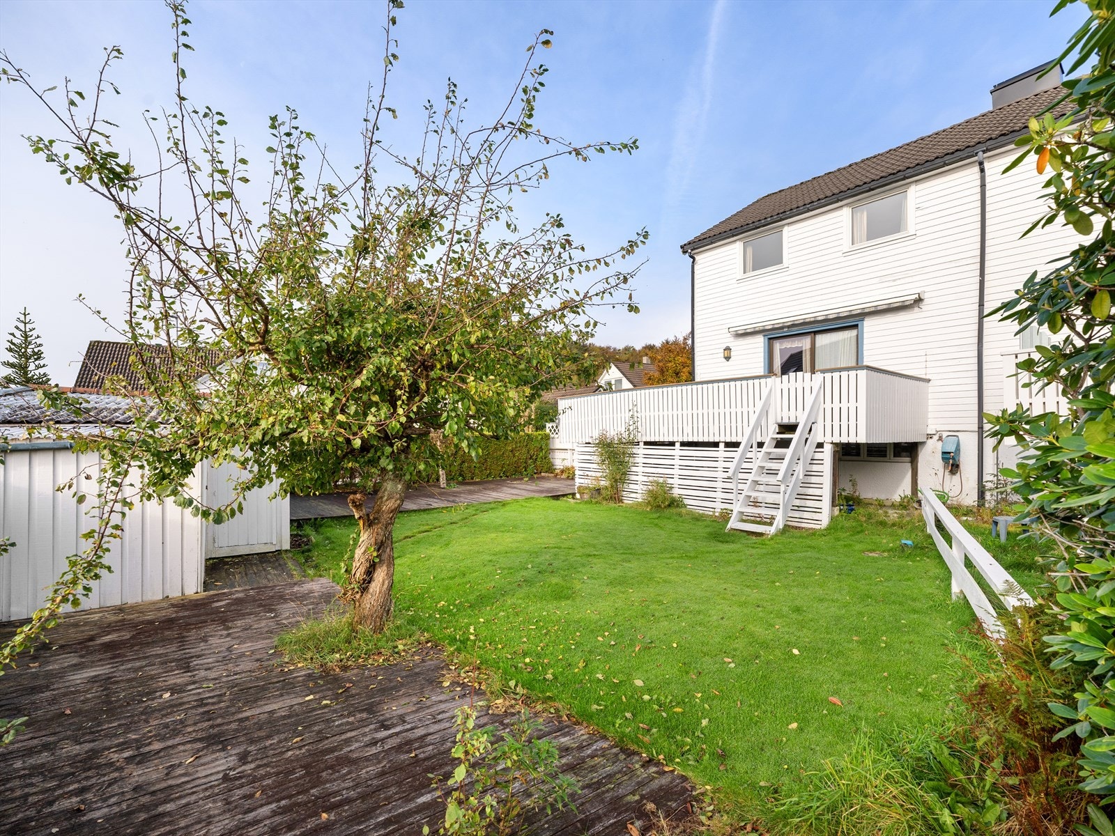 Koselig hage Galleribilde