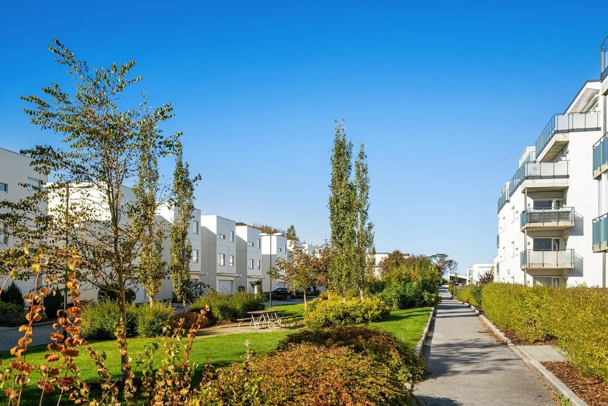 Friområde i nabolaget Galleribilde