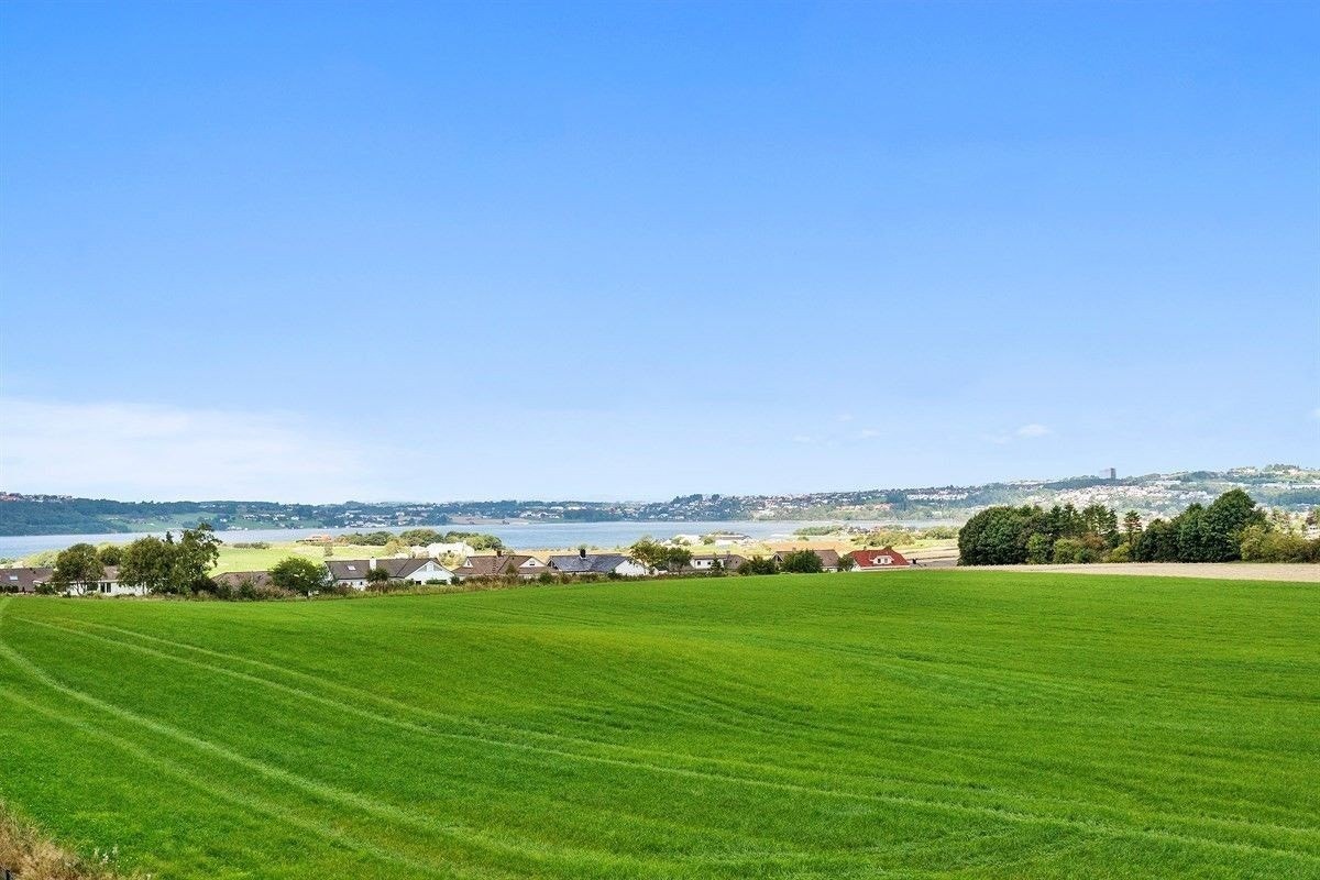 Utsikt fra leiligheten Galleribilde