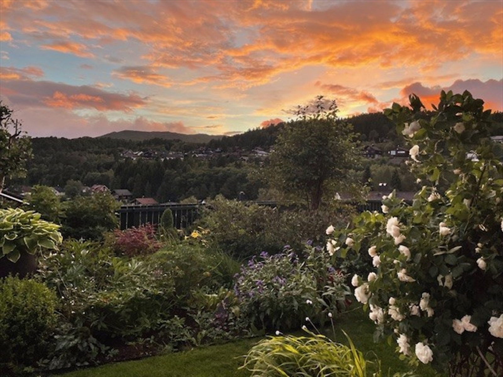 Flott fargespill på sommeren. Hageområdet foran boligen er pent opparbeidet Galleribilde